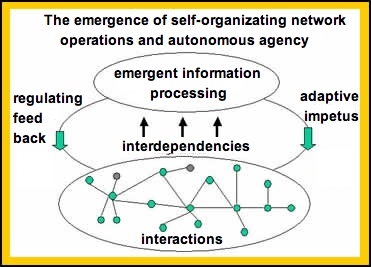 Net-autonomy-emergence